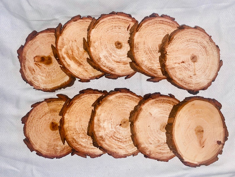 May include: Ten round wooden coasters with a natural wood finish. The coasters have a rough, rustic edge and are perfect for adding a touch of nature to your home decor.