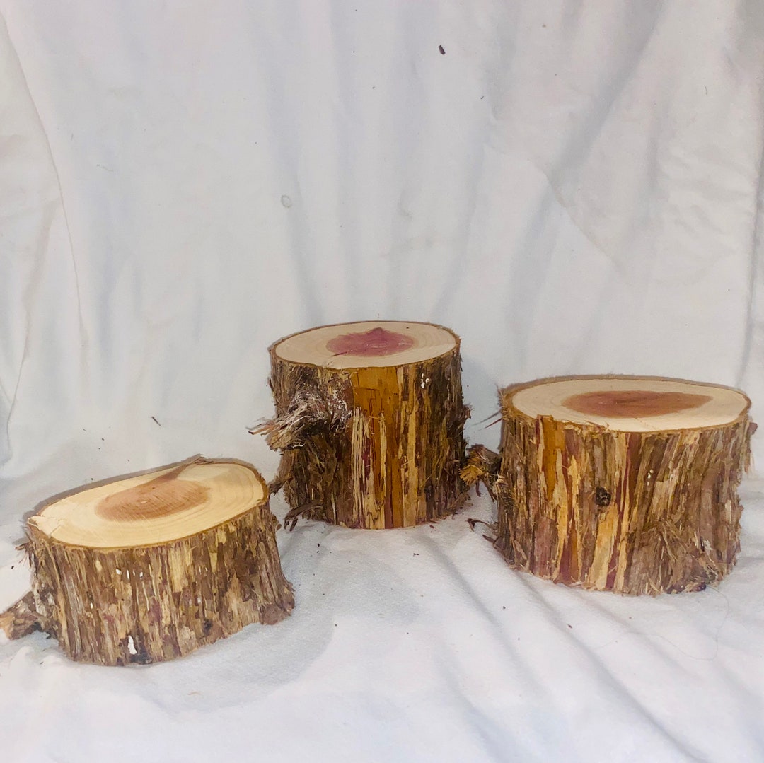 Rustic Cedar Stump Set: Natural Wood Risers, Wedding Decor - Etsy