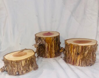 Rustic Cedar Stumps Set of 3 Live Edge Rustic Cedar Risers Wedding ...