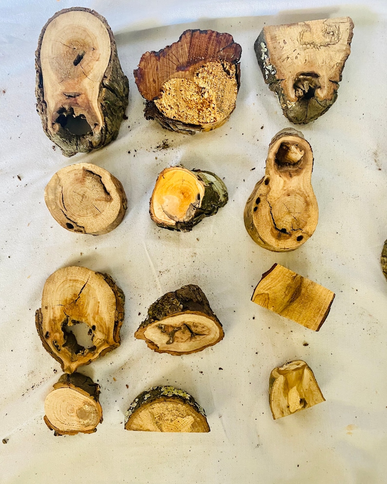 Assorted Wood Burl Pieces Box of Burl Wood Over 30 Pieces Etsy