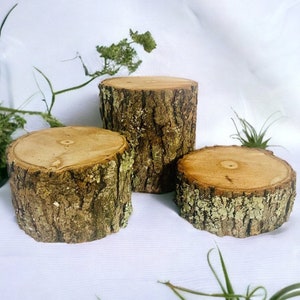 Rustic Wood Log Stumps: Set of 3, Natural Bark Decor