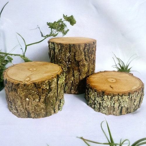 Rustic Wood Log Stumps: Set of 3, Natural Bark Decor