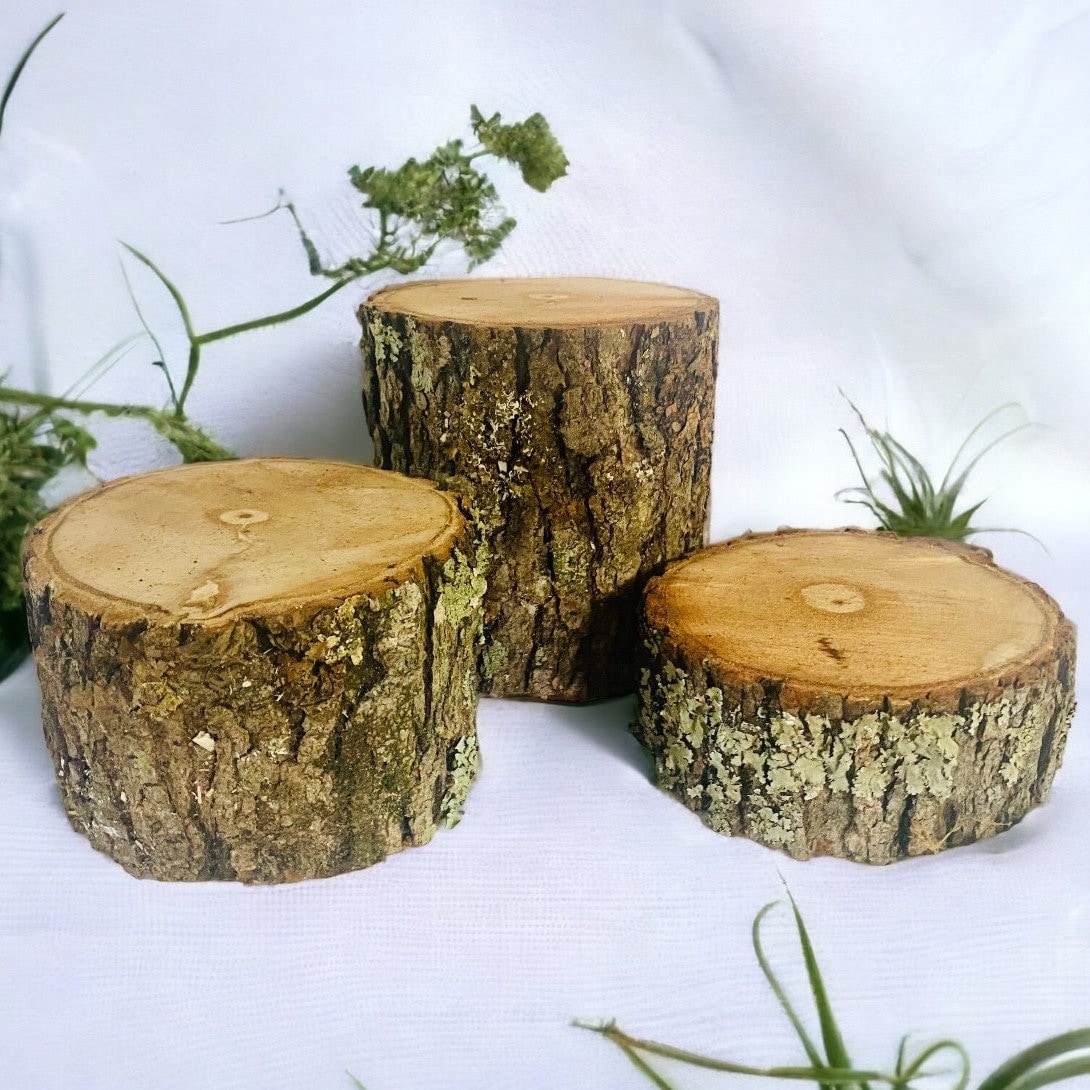 Troncos de madera rústicos: juego de 3, decoración de corteza natural -  Etsy México, image size:1090x1090
