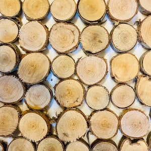 May include: A close-up of a wall covered in round wooden slices, arranged in a pattern. The wood is a light brown color and has a natural, rustic look.