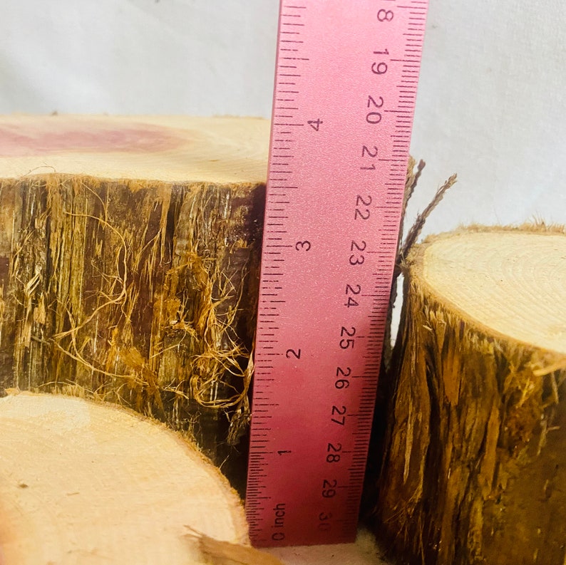 Rustic Cedar Stumps Set of 3 Live Edge Rustic Cedar Risers - Etsy