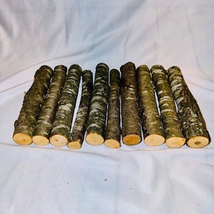 Peut inclure: Une collection de 12 bâtonnets en bois naturel, d'environ 15 cm de long, avec une écorce brun clair et un cœur de bois brun clair. Les bâtonnets sont disposés en rangée sur une surface blanche.