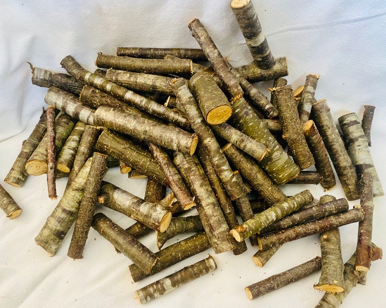 Mini Cherry Tree Logs 100 Pieces of Wild Cherry Wood Logs Etsy