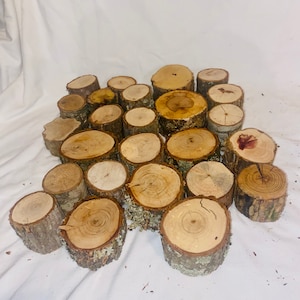 Peut inclure: Une collection de tranches de bois naturel, de tailles et de formes variées, avec de l'écorce encore attachée. Le bois est de couleur brun clair avec un motif de grain naturel. Les tranches sont disposées en pile sur une surface blanche.
