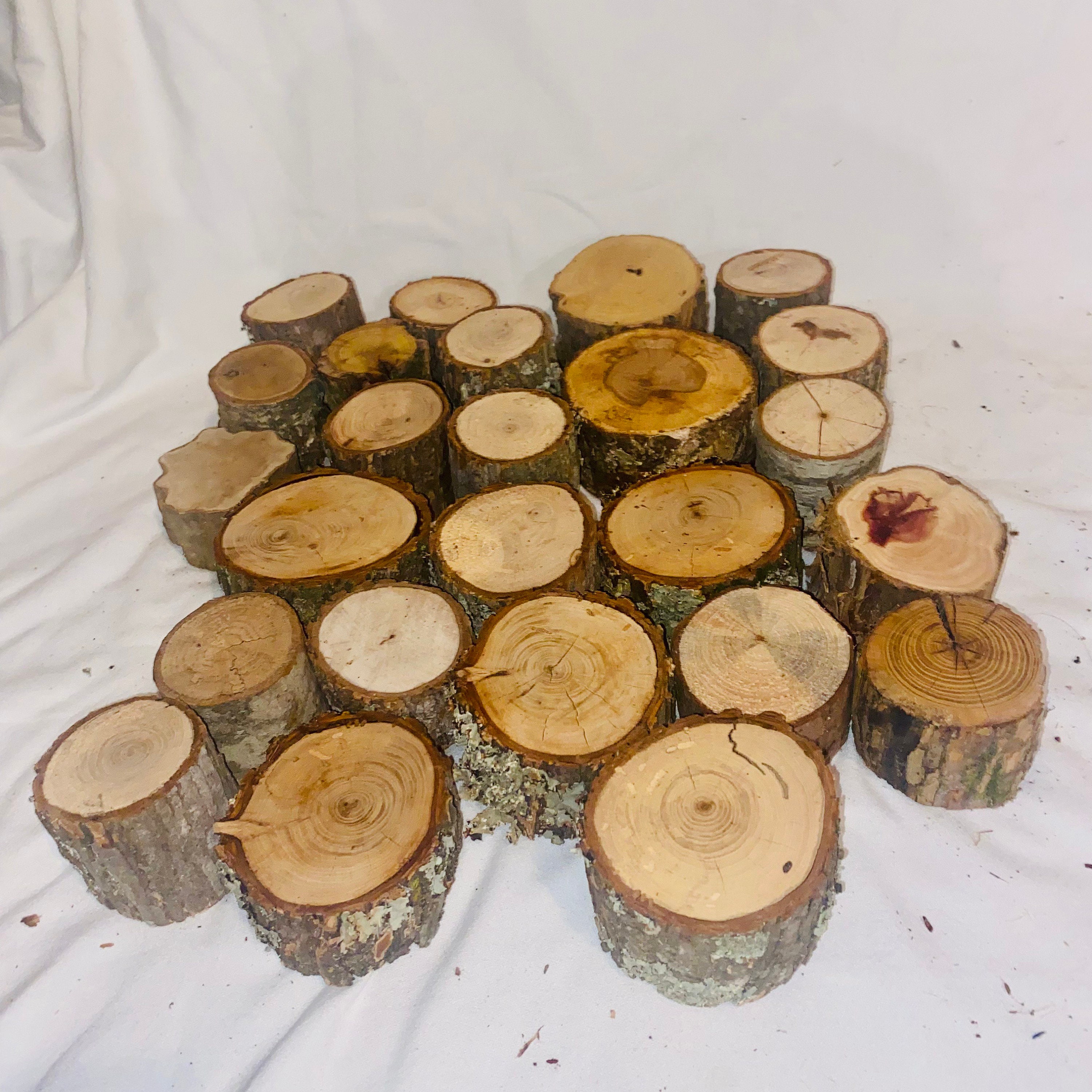 Rustic Wood Log Stumps 20 Real Wood Stumps Assorted Types Etsy