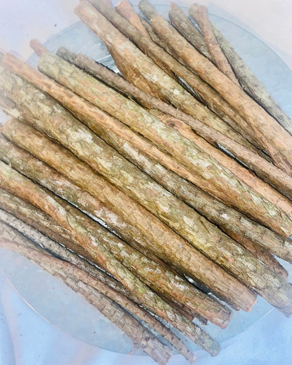 Natural Pine Branch Sticks - 12pc Crafting Wood Twigs (6-9 inch)