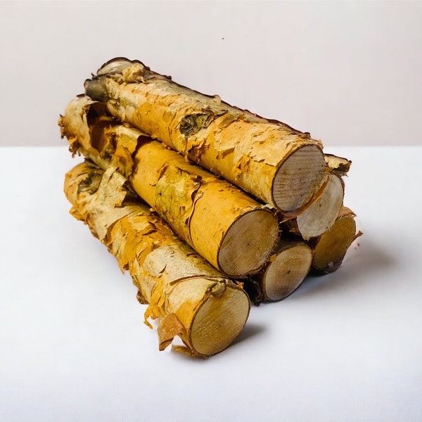 Birch Logs - set of 6 - rustic birch log decor - small log bundle - birch log bundle