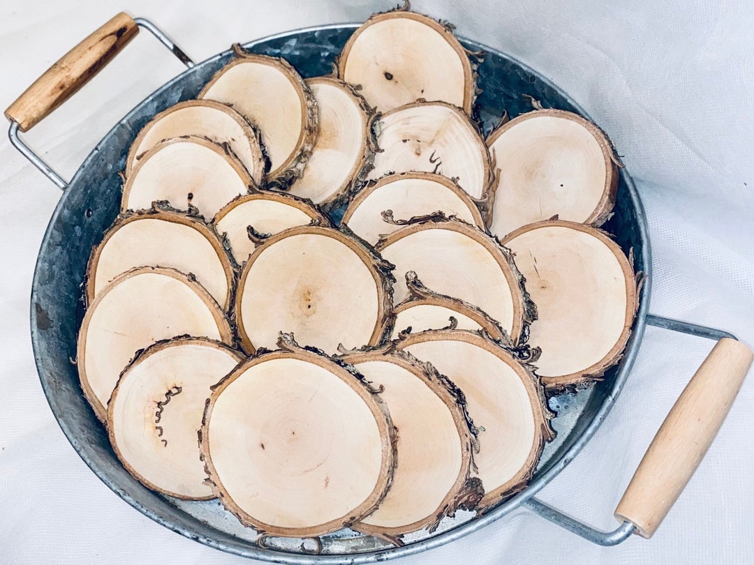 Birch Tree Slices (set of 20): 3-4