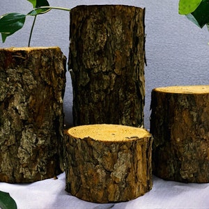 May include: Four wooden log slices of varying sizes, stacked on a white surface. The log slices have a natural brown bark texture and a light brown wood color.