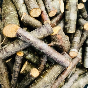 mini cherry tree logs - 100 pieces of wild cherry wood logs - small log pieces - black cherry wood minis - cherry wood minis