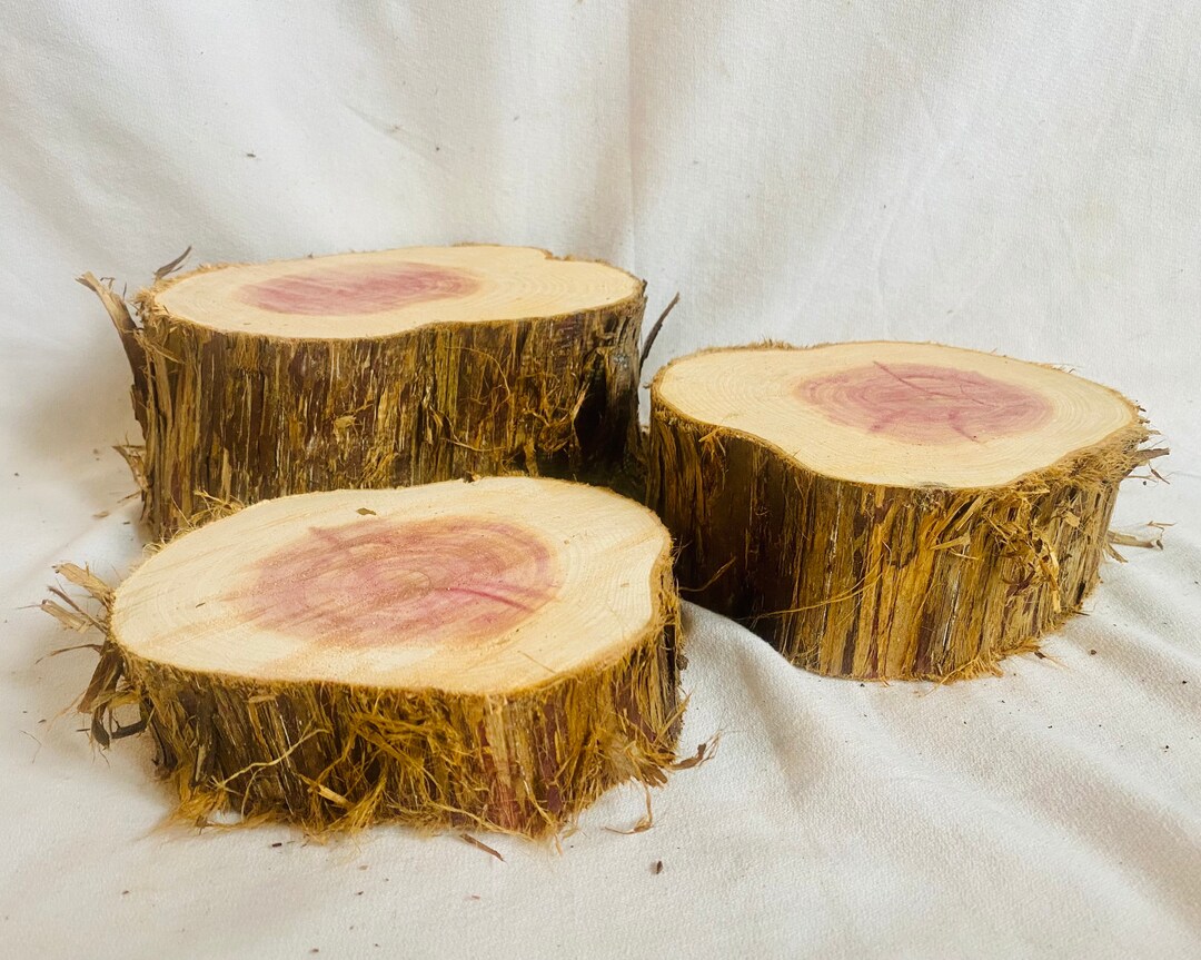 Rustic Cedar Stumps Set of 3 Live Edge Rustic Cedar Risers Etsy