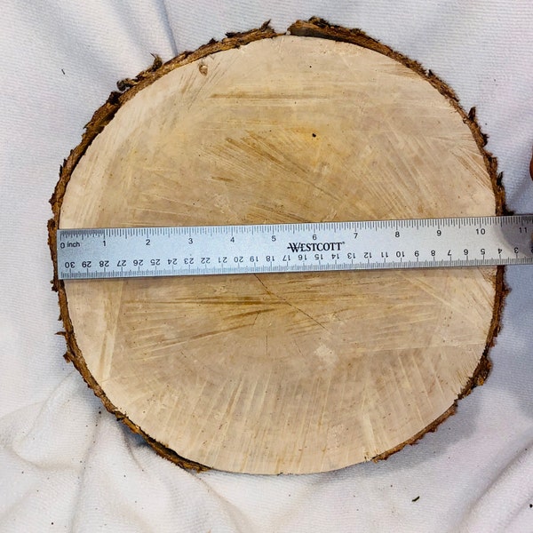10 1/2” Birch Tree Slice - large tree slice- rustic wood cake stand- centerpiece- rustic wedding decor - rustic display - charger plate