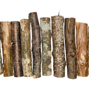 May include: A collection of 10 natural wood sticks, each with a unique bark pattern and texture. The sticks are arranged in a row, with the ends of the sticks aligned. The sticks are all approximately the same length and diameter.
