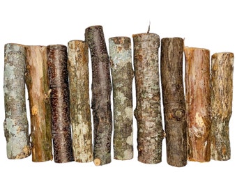 Small Wood Logs - Set of 10 - Assorted Mini Logs - Wood Small Wood Logs - Set of 10 - Assorted Mini Logs - Wood