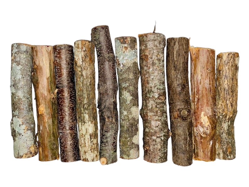 May include: A collection of 10 natural wood sticks, each with a unique bark pattern and texture. The sticks are arranged in a row, with the ends of the sticks aligned. The sticks are all approximately the same length and diameter.