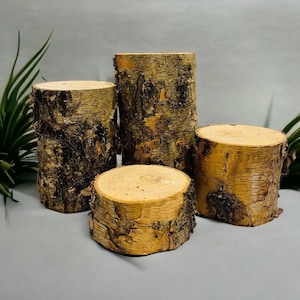 Rustic Birch Log Stumps - set of 4 - rustic wood decorations- rustic wedding, rustic table centerpiece, Birch risers