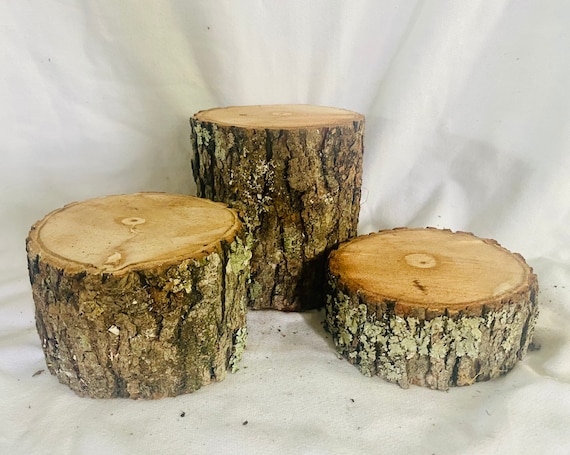 Tocones de troncos de madera rústica conjunto de 3 decoraciones de