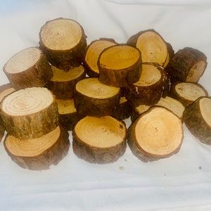 Natural Pine Slices with bark - set of 20 - 1” thick-  2-3” diameter disc - pine rounds -pine circles- rustic wedding decor -