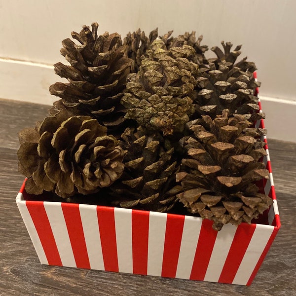 Small Pine Cones - real pine cones - 2-3 inch - 10 count - crafting or decorating cones