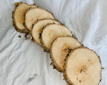 May include: Five round wooden slices with bark edges, arranged in a row on a white fabric background. The slices are different sizes, with the largest one at the bottom.