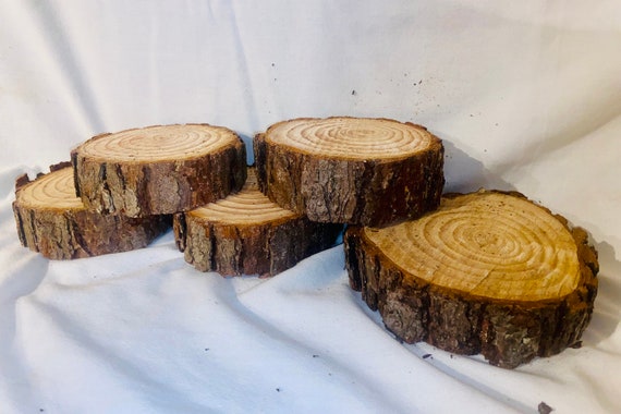Bulk Wood Slices, B Grade Wood Slices, Imperfect Natural Pine Wood