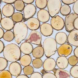 May include: A collection of wood slices in various sizes and shades of brown, beige, and yellow. The slices are arranged in a random pattern on a white background.