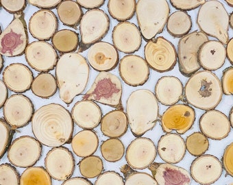 100 wood slices - mixed tree slices-  mosaic wood art - assorted types - rustic wood circles - box of wood disc - wood tags- bulk wood