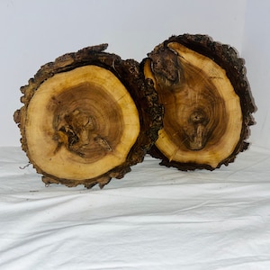 May include: Two natural wood slices with visible growth rings and dark brown bark edges. The wood has a light brown color with darker brown and tan patterns. The slices are cut from a tree trunk and are displayed on a white surface.