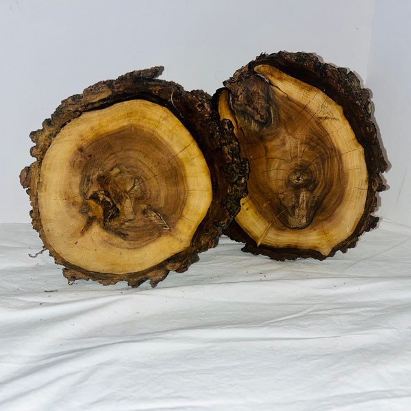 Black Walnut Slices - set of 2 - large 7” tree slices - black walnut slabs - rustic decor - rustic wedding - rustic display riser