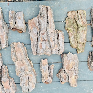 May include: A collection of bark pieces, varying in size and shape, with a natural brown color and a textured surface. The bark pieces are arranged on a light gray wooden surface.
