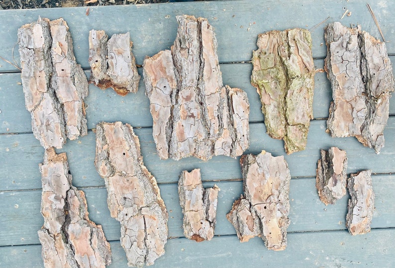 May include: A collection of bark pieces, varying in size and shape, with a natural brown color and a textured surface. The bark pieces are arranged on a light gray wooden surface.
