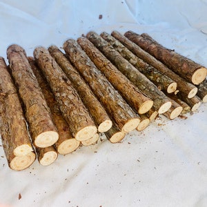 Pine Wood Logs (Set of 10): Natural Craft Sticks, 8" Length