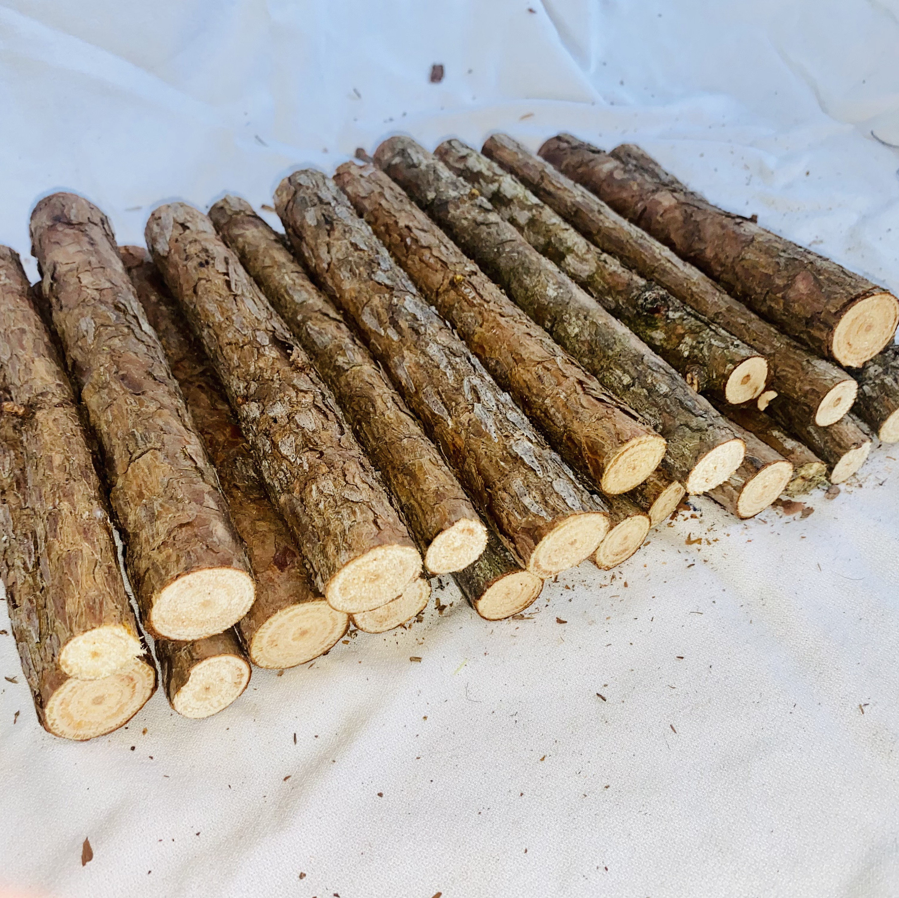 Small Pine Logs Set of 10 Wood Sticks/logs 8 Length Bundle of Pine