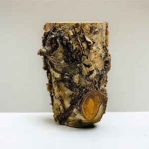 May include: A natural wood vase with a rough, textured bark surface. The vase has a natural, organic shape and a light brown color.