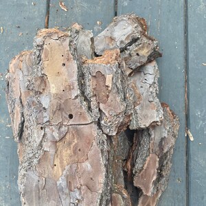 May include: Close-up of a pile of brown bark with a rough, textured surface. The bark has a natural, rustic look and is perfect for crafting or decorating.