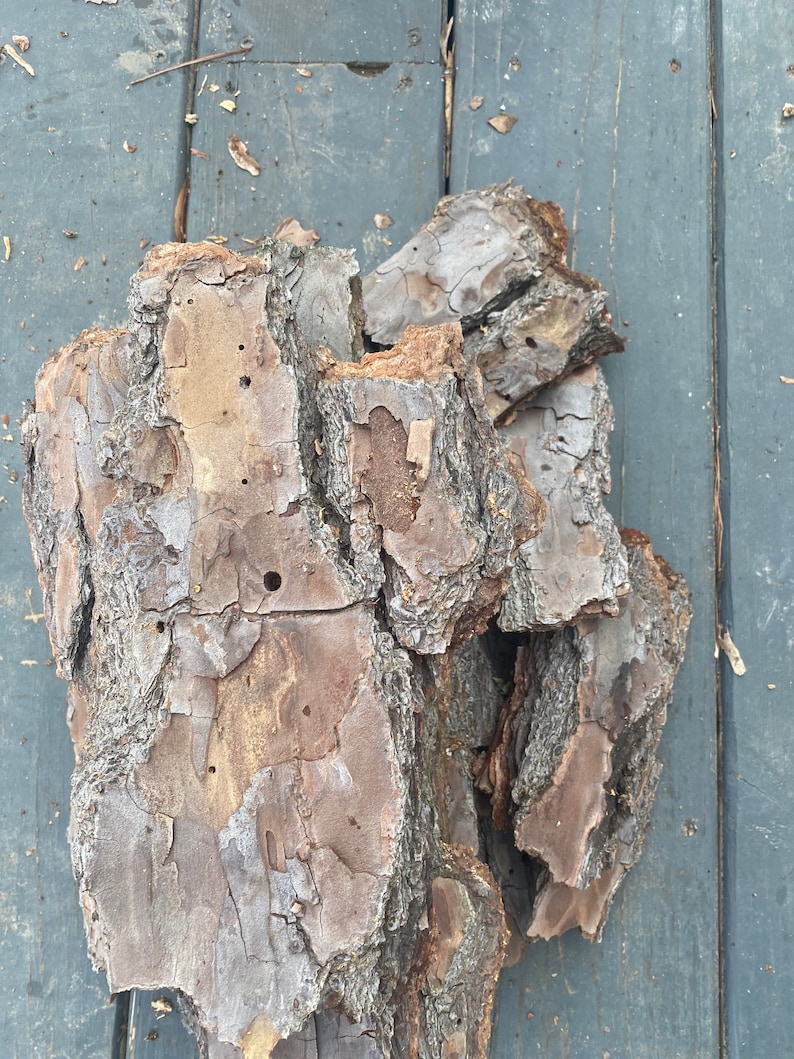 May include: Close-up of a pile of brown bark with a rough, textured surface. The bark has a natural, rustic look and is perfect for crafting or decorating.