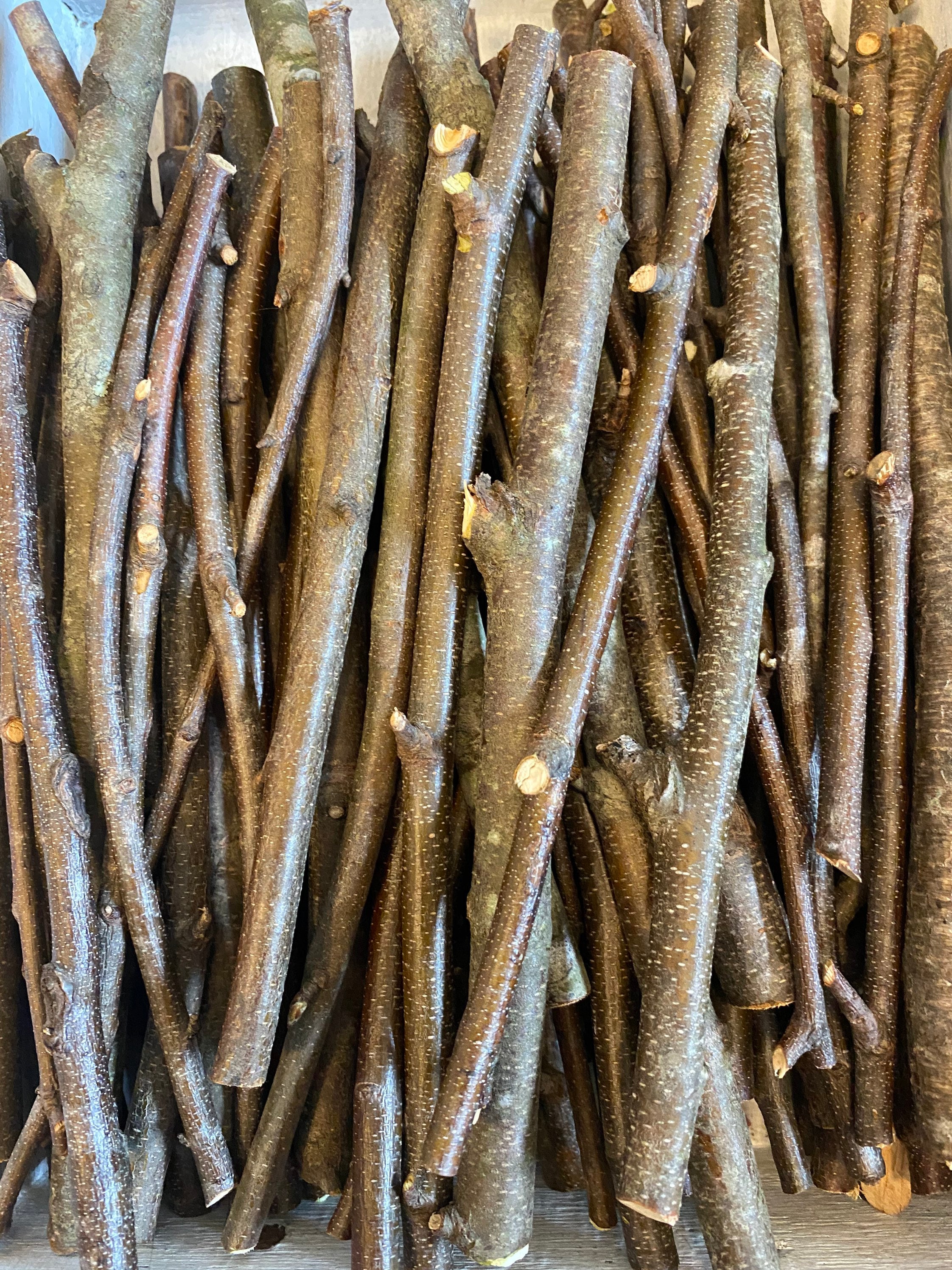 Fresh Birch Stick Bundle - 25 count