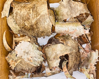 Birch Bark Pieces - 5 ounces