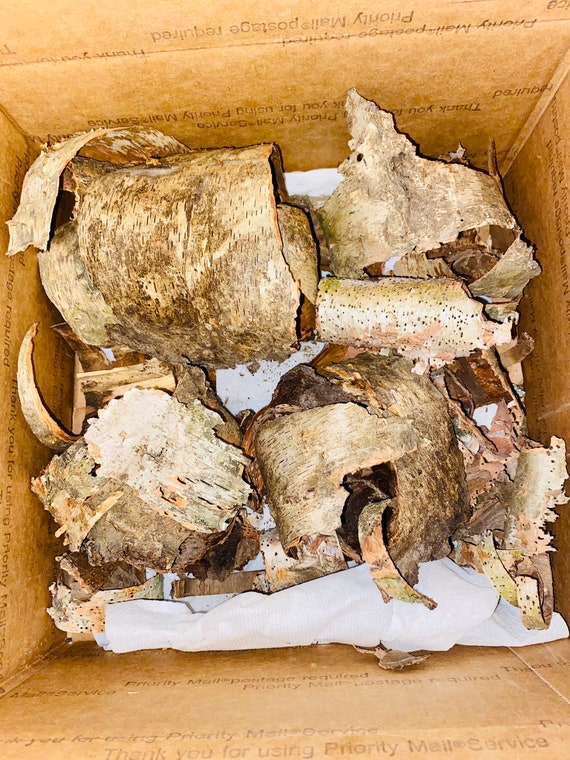 Birch Bark Pieces - 5 ounces