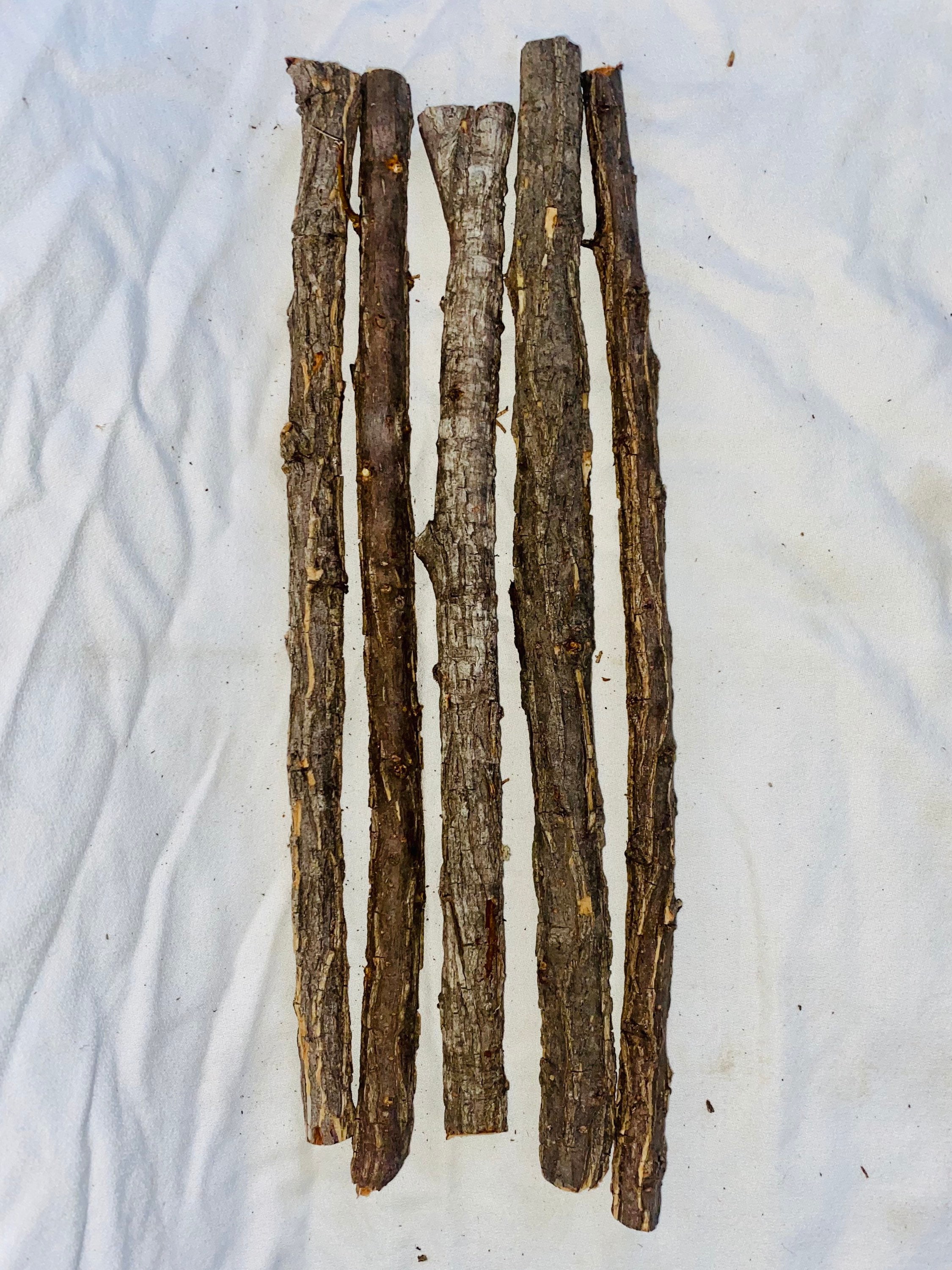 Willow Limbs Set of 5 Willow Wand Carving Willow Wood Etsy