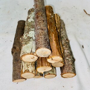 May include: A pile of small, brown and grey wooden sticks, stacked in a pyramid shape. The sticks are about 10 inches long and have a rough, natural texture.