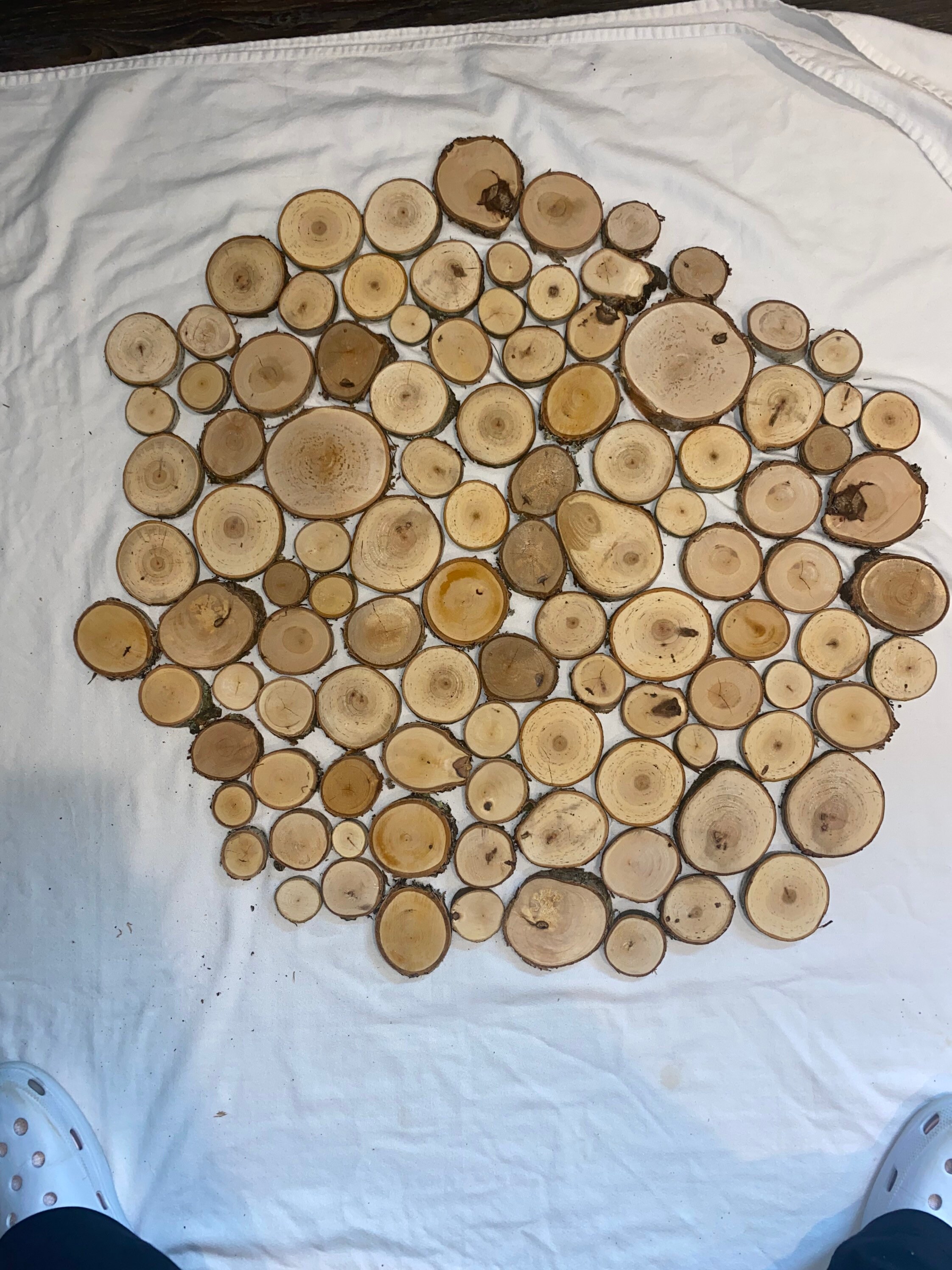 Birch Slices Birch Rounds Birch Disc 100 Pieces - Etsy
