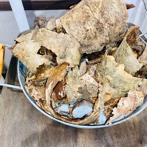 May include: A galvanized metal bowl filled with pieces of tree bark. The bark is light brown and tan with a rough texture. The bowl has two wooden handles and is sitting on a wooden surface.