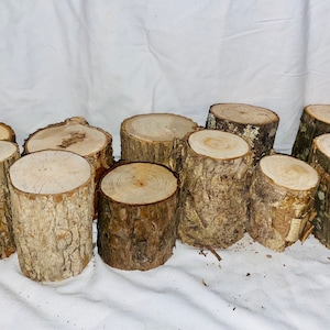 Rustic Wood Log Stumps - Set of 5 - Live Edge Table Centerpiece