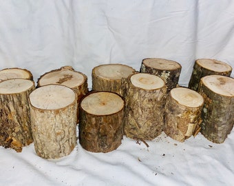 Rustic Wood Log Stumps - Set of 5 - Live Edge Table Centerpiece
