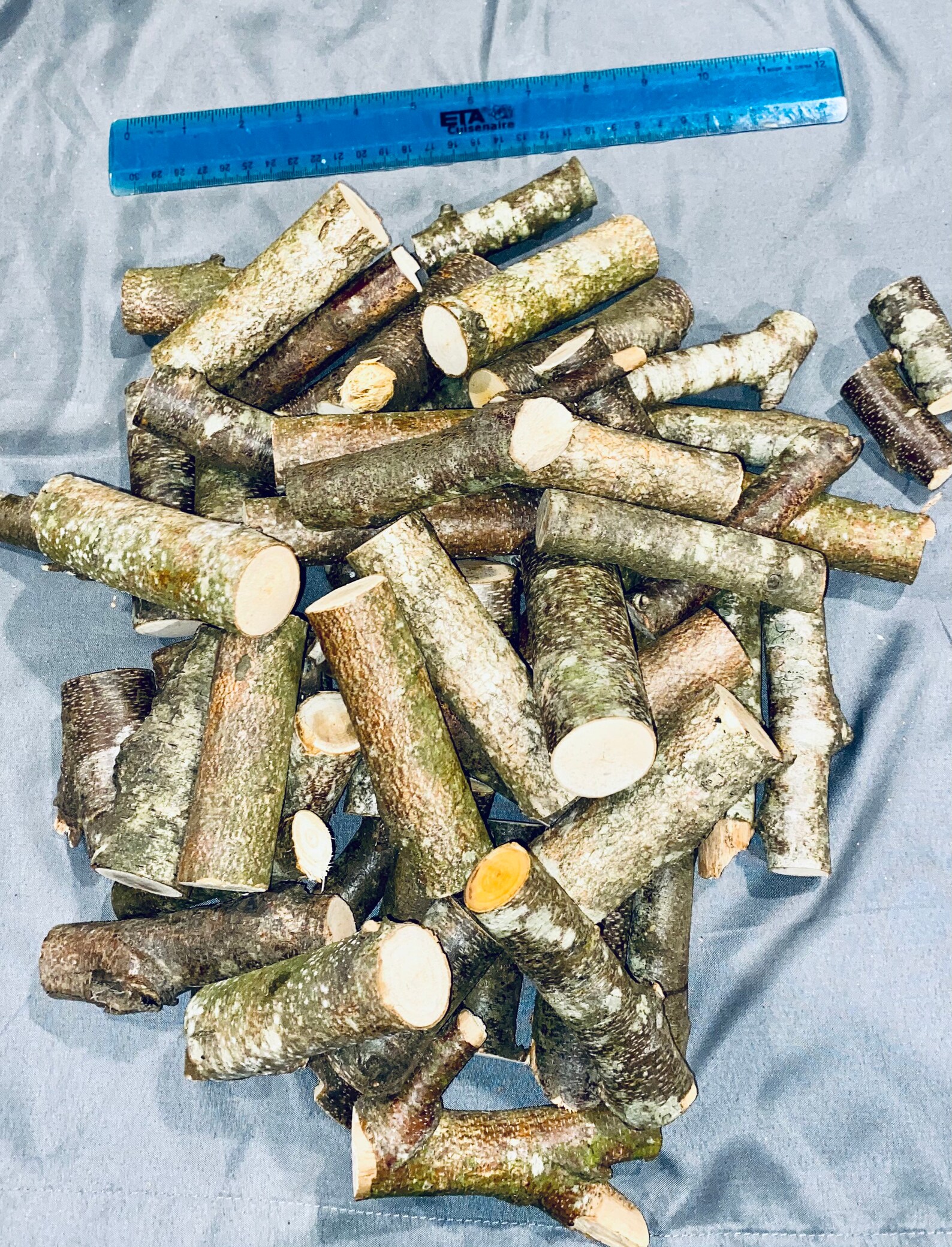 Mini troncos de abedul a granel más de 25 piezas | Etsy